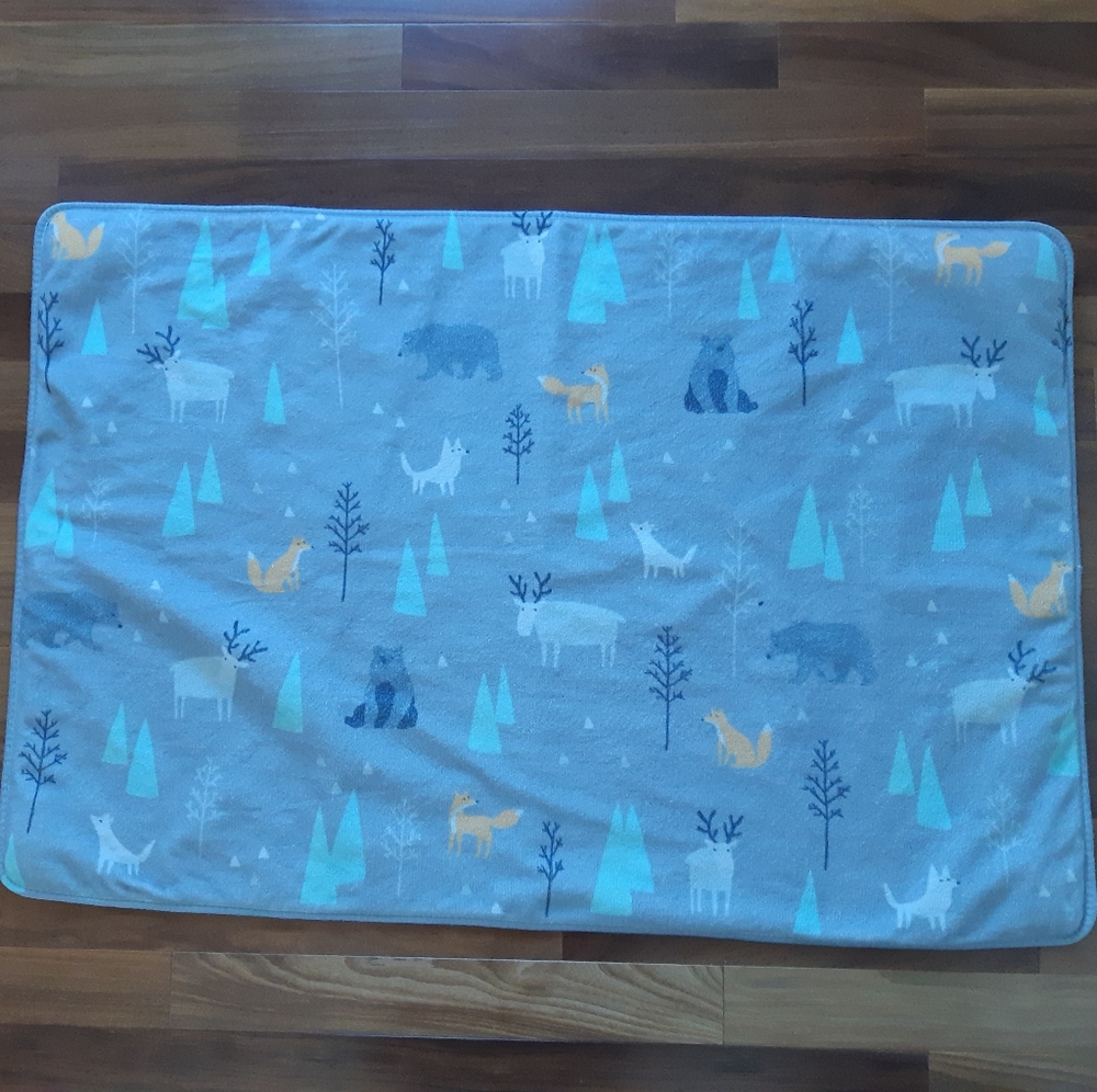 Simons carpet for kids room